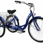 Schwinn Meridian Adult Trike, Three Wheel Cruiser Bike