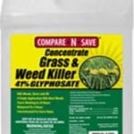 Compare-N-Save Concentrate Grass and Weed Killer