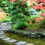 how to grow vegetable in a japanese garden