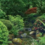 how to grow vegetable in a japanese garden image