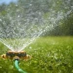 watering grass at night myths