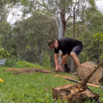 How to Remove a Tree Stump with a Wedge