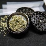 Best Grinder For Kief