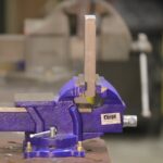 purple vise pic